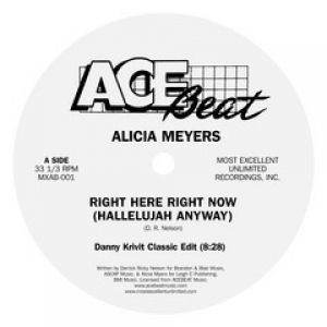 RIGHT HERE RIGHT NOW (DANNY KRIVIT EDIT)