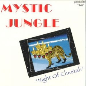 NIGHT OF CHEETAH LP